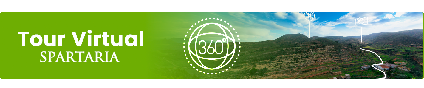 Tour Virtual 360